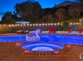 The Splash Society-Pool, Spa, Games, and Vibes