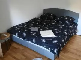 ZMAJ lux