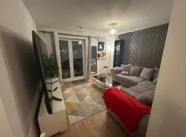 Modern flat