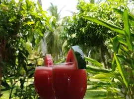 Cinnamon Villa Ambalangoda