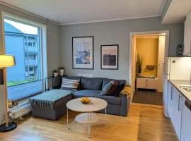 Koselig og moderne 2-roms leilighet