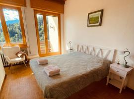 Casa DaRin, hotel in Vigo di Cadore