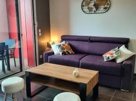 Le Patio Arena, classé 2 étoiles, terrasse, parking, wifi, local vélos