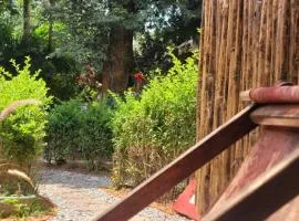 Culture House - Heritage Stay with Family Comforts
