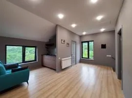 lady and bear villa