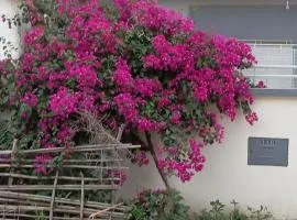 Maison des vacancies,repos et relaxation