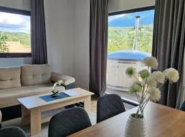 Panoramic Chalet Bran