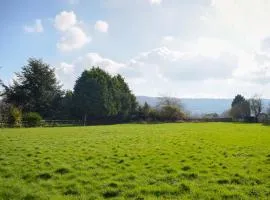 Meadow View