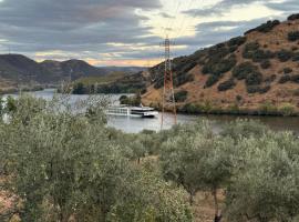Douro Guest House, hotel in Torre de Moncorvo