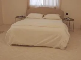 بيت الضباب