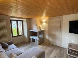 Chalet Bachod