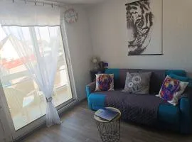 Chez Lilie, Studio cosy classé 2 étoiles Plage de Stella