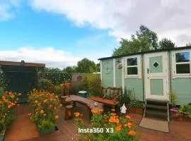 Alices Garden Two
