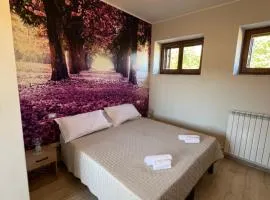 Mo'sci Rooms