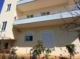 Mino's House