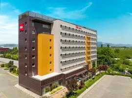 Ibis Bursa