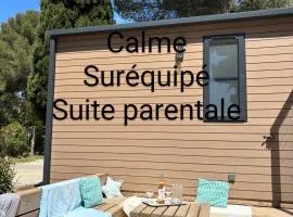 Mobilhome 6 pers 3ch 2SB 2 WC clim lave-vaisselle barbecue sous les pins