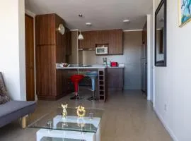 Departamento Calama