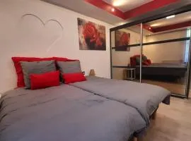 Le duo virtonnais - appartement 4 personnes au coeur de la gaume