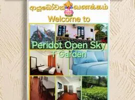 Peridot Open Sky T Garden