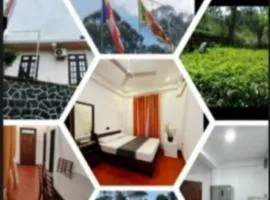 Peridot Open Sky T Garden