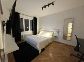 Cosy studio in Lausanne Flon