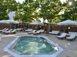 Ивелия Хотел и Спа - Ivelia Hotel & SPA