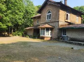 Raj Kot