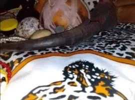 Baabaa Baabuu Best Sangoma Traditional Healer Love Spells Johannesburg, Bassonia, Glenvista, Lenasia, Oakdene, Winchester Hills and Mulbarton