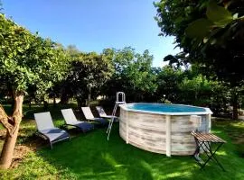 Seasuntour - Meta CC Palace