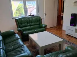 Stan na dan ViS Raska
