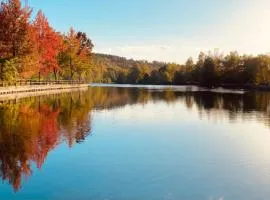 Lodge pleine nature