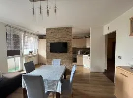 Apartament NA WRZOSACH