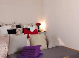 Nova Suite