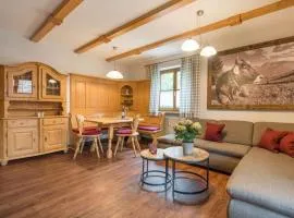 Mountain home with cable cars included