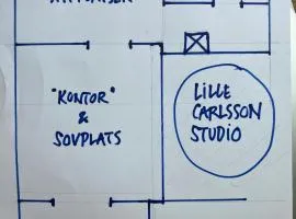 Kunstneratelier Ved Helge-Floden I Skåne