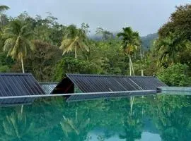 Sinharaja Forest Sanctuary