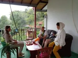 Mountain Top Guest