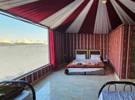 Camp in the natural reserve & tours