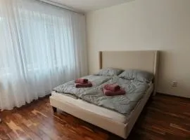 Apartmán Frida