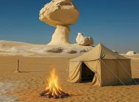 White desert safari in Egypt