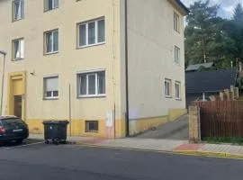 Apartman Riegrova 41