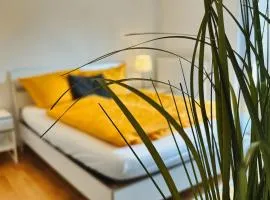 Wohnung 1 Altstadt