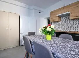 Apartament w Centrum Gliwic