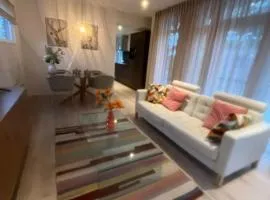 Luxe vakantiewoning Hellendoorn Sallandse Heuvelrug nmr 36