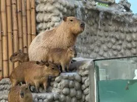Capybara Zen Resort And Spa