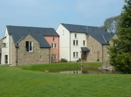Burrow Meadows