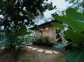 Coffee Breeze Resort