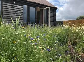 Badger Lodge - Uk30603
