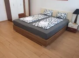 Loevly 1BR Apt in the Heart of Vienna